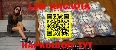 PSILOCYBIN Славгород