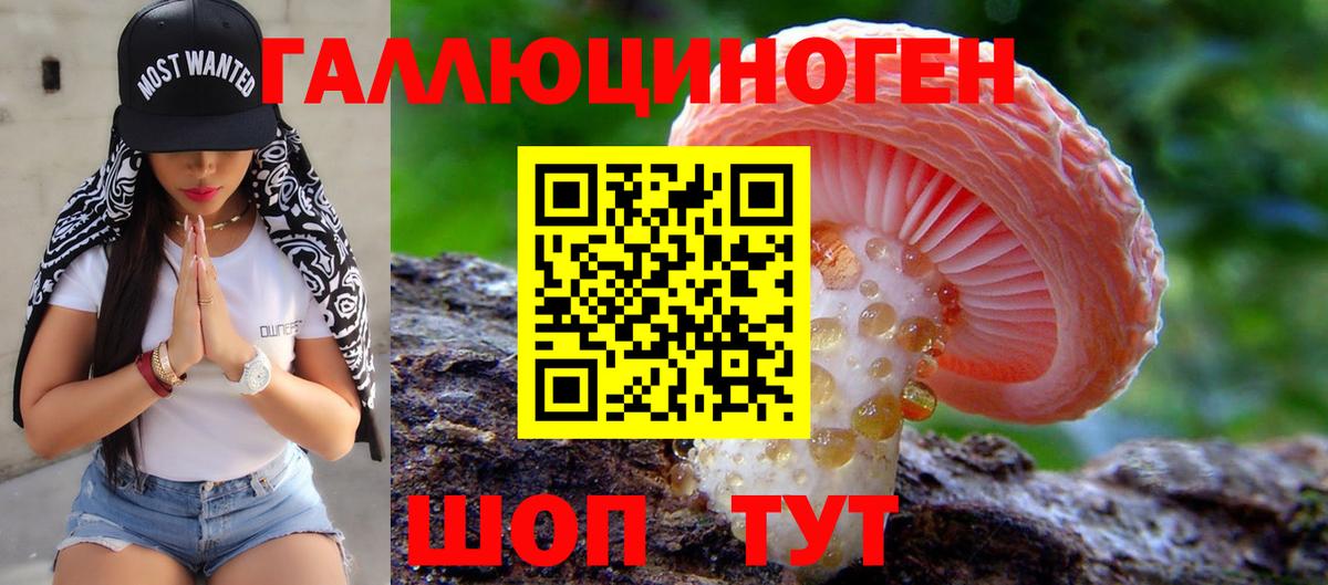 Нарьян-Мар  Псилоцибиновые грибы Cubensis  Вход с VPN 